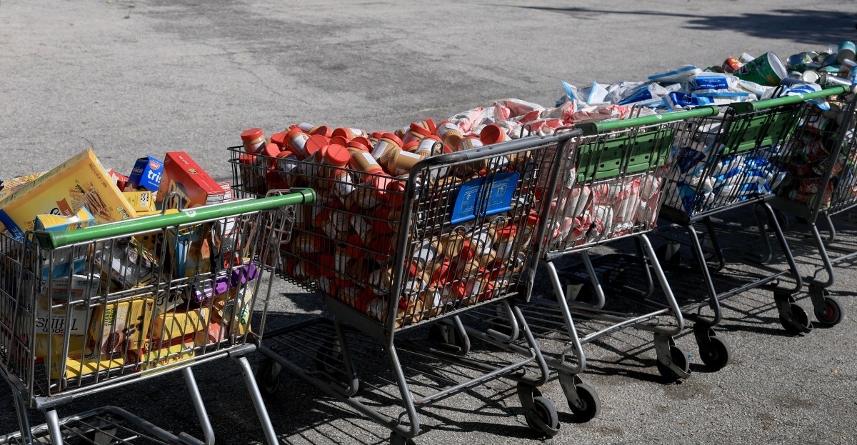 Los beneficios de SNAP vencen: los estereotipos de cupones de alimentos de la “reina del bienestar” se vuelven virales.
