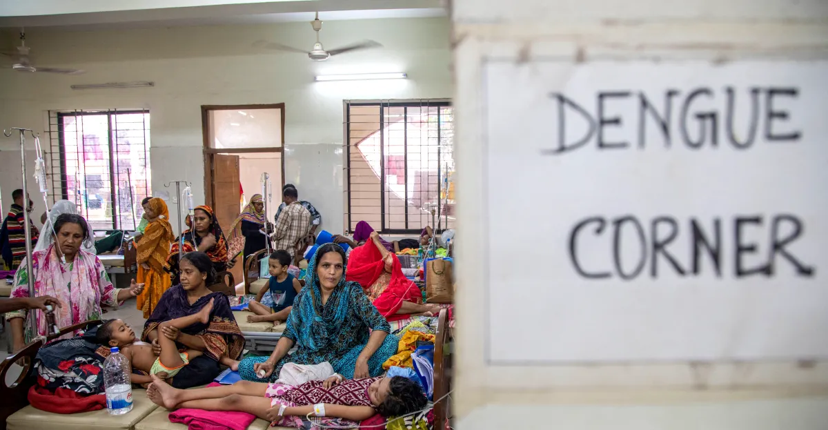 Los brotes de dengue están aumentando. Su creador abandonó un antiviral prometedor.