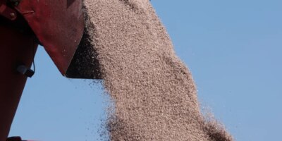 La guerra con Irán amenaza algo más importante que los precios del petróleo