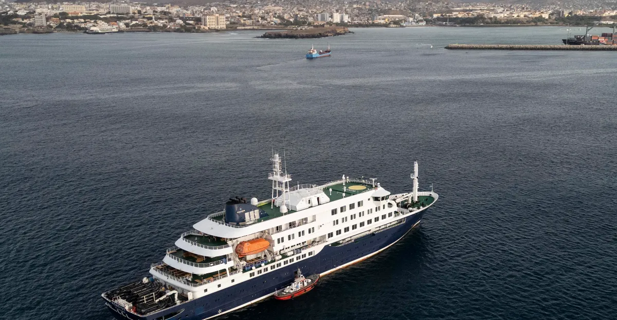El brote de hantavirus en los cruceros: ¿Qué tan preocupado debería estar?