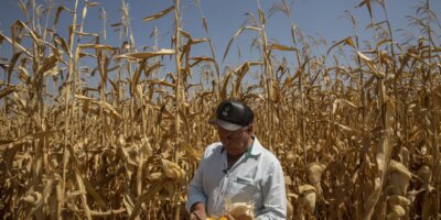La crisis climática y su calor llega a tu compra