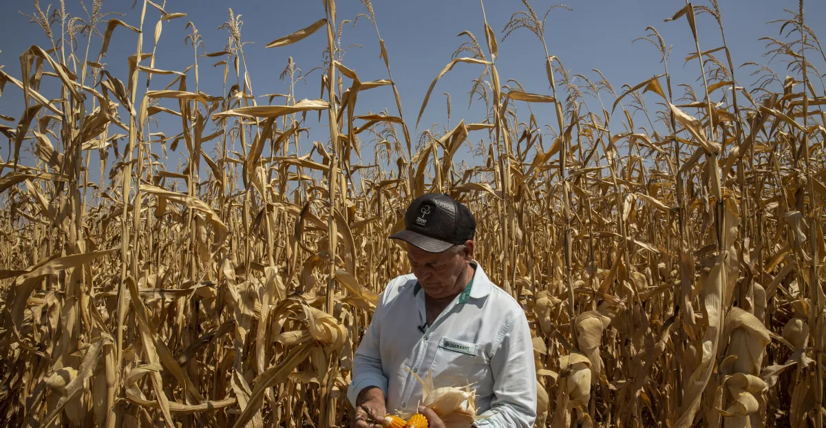 La crisis climática y su calor llega a tu compra