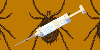 Las picaduras de garrapatas están aumentando las tasas de síndrome alfa-gal y enfermedad de Lyme. He aquí cómo prevenirlos.