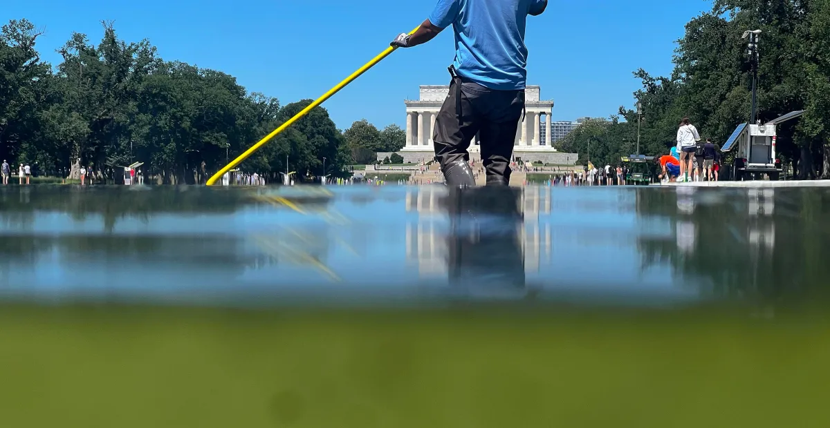 Lo último sobre la renovación de la Piscina Reflectante de Trump: Arrestos y presunto “vandalismo”