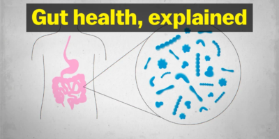 La verdad sobre la salud intestinal
