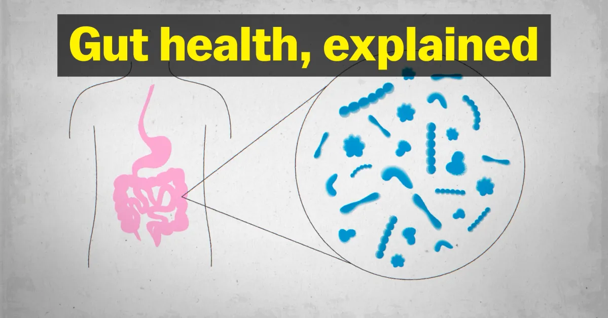 La verdad sobre la salud intestinal