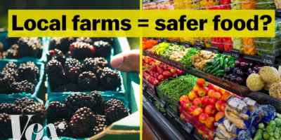 ¿Es más segura la comida en el mercado de agricultores?