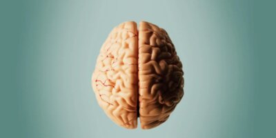 ¿Se podría tratar la enfermedad de Alzheimer mediante cirugía? Los científicos quieren descubrirlo.