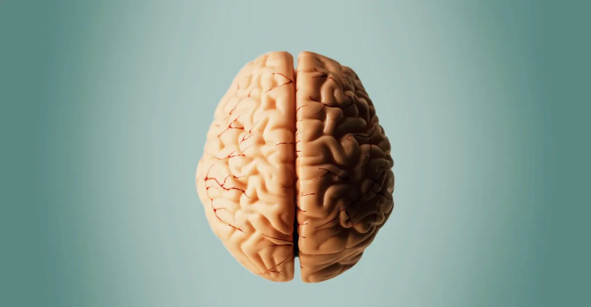 ¿Se podría tratar la enfermedad de Alzheimer mediante cirugía? Los científicos quieren descubrirlo.